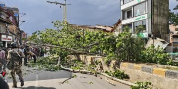 Man dies, wife critical after tree falls in Anantnag