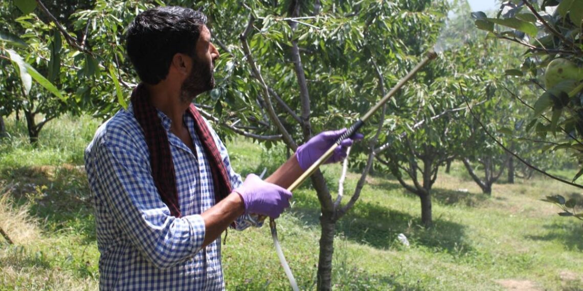 GMC Srinagar issues pesticide poisoning advisory for orchardists