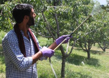 GMC Srinagar issues pesticide poisoning advisory for orchardists