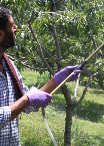 GMC Srinagar issues pesticide poisoning advisory for orchardists