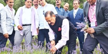 Bhaderwah’s Lavender goes global