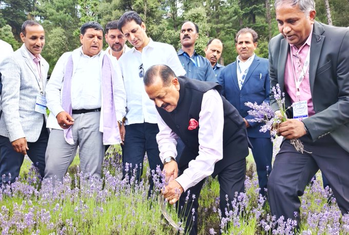 Bhaderwah’s Lavender goes global