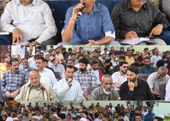 DC Shopian chairs Block Diwas in Keller