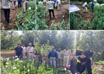 Nasha Mukht J&K Abhiyan: Central Kashmir Excise Range intensifies crackdown