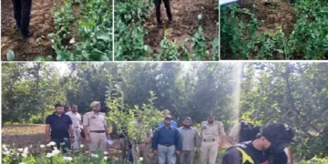 Nasha Mukht J&K Abhiyan: Central Kashmir Excise Range intensifies crackdown