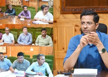 DC Shopian chairs meeting on identification of skill training needs of rural youth
