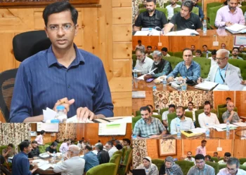DC Shopian chairs DLRC, DCC meeting