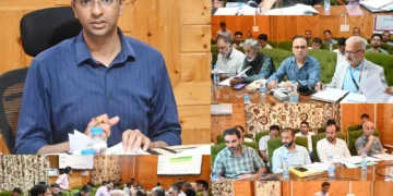 DC Shopian chairs DLRC, DCC meeting