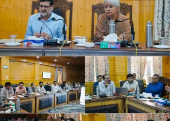 DILRMP : District Mentor, DC Bandipora chair review meeting on Revenue Records Digitization