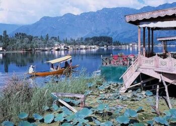 J&K faces 530 tonne daily waste treatment gap; Dal, Wular lakes at risk: NGT amicus report