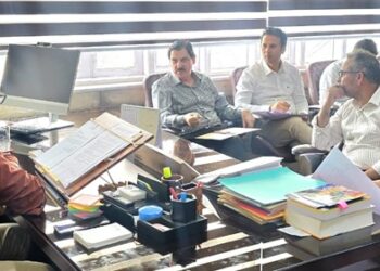 Ensure timely execution of projects, effective public service delivery: Javed Rana
