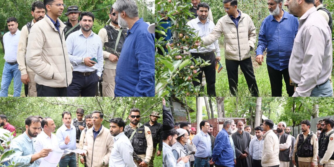 MLA, DC Shopian assess hailstorm damage