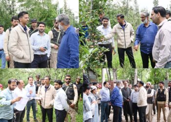 MLA, DC Shopian assess hailstorm damage