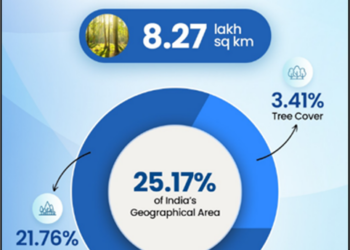 India’s Green Transformation