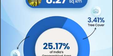 India’s Green Transformation