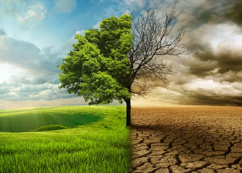 Cities Show How Climate Action Is Making Life Better