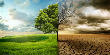 Cities Show How Climate Action Is Making Life Better
