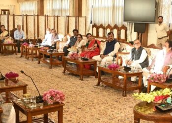 Parl panel on External Affairs meets LG, CM