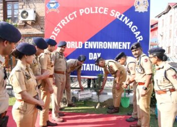 DGP launches tree plantation drive