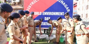 DGP launches tree plantation drive