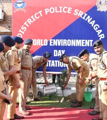 DGP launches tree plantation drive