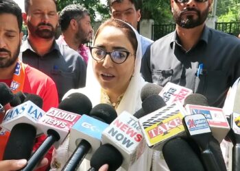 Focus on governance, not protests: Darakhshan Andrabi to NC