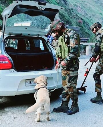 Amarnath Yatra: Security beefed up across J&K