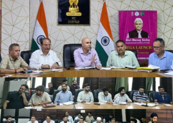 DC Kishtwar reviews banking performance in DLRC, DLRAC meeting