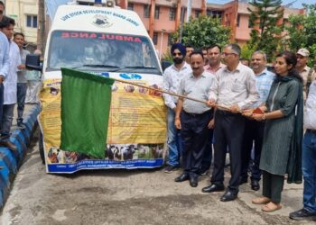 2.05 lakh livestock to be vaccinated in Kathua for Foot and Mouth Disease