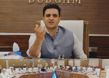 PM Surya Ghar Muft Bijli Yojana : Clear installation backlog, speed up disposal of cases: DC Budgam