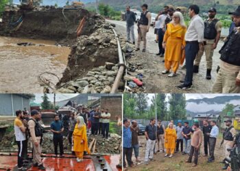 DC Bandipora inspects vulnerable areas, reviews preparedness
