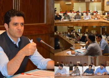 DC Budgam stresses round-the-clock monitoring of upper reaches, flood-prone areas