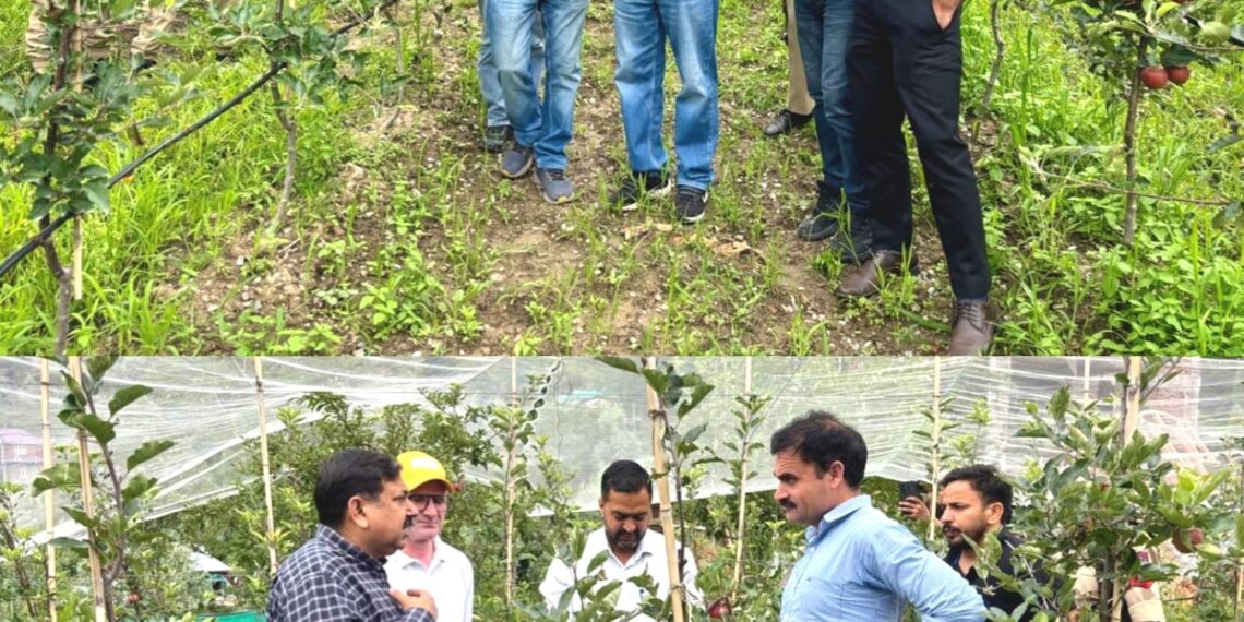 DC Poonch visits high-density apple orchard in Loran