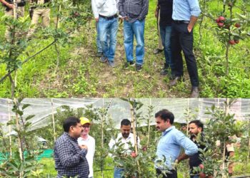 DC Poonch visits high-density apple orchard in Loran
