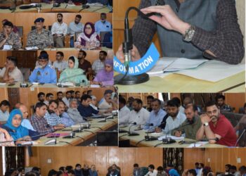Independence Day Arrangements: DC Pulwama chairs preliminary meeting