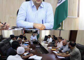 DC Ramban reviews progress of power sector schemes