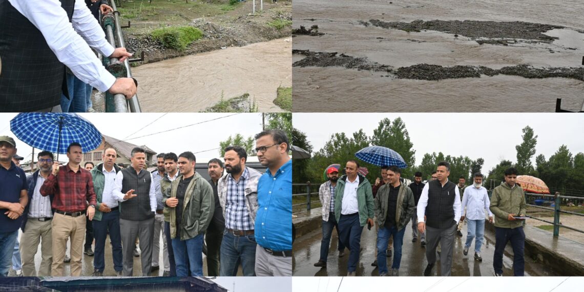 Heavy Rainfall: DC Anantnag visits high risk areas, takes stock of situation