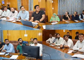 DC Pulwama chairs District Level Telecom Committee Meeting