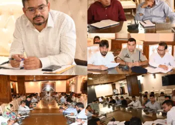 DC Kulgam reviews arrangements for Independence Day celebrations