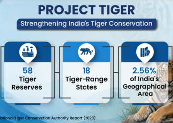 === Protecting Tigers, Preserving Ecosystems ===  India Leads The Wilderness In Tiger Conservation