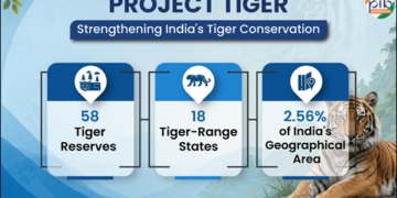=== Protecting Tigers, Preserving Ecosystems ===  India Leads The Wilderness In Tiger Conservation
