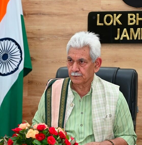 Artificial Intelligence has reshaped job market: LG Sinha
