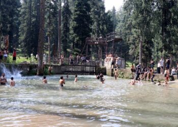 Beating the Heat: Boys taking bath in a stream at Hajan, Budgam