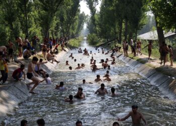 Youth beating the heat in a water canal in Chattergam area of central Kashmir’s Budgam district