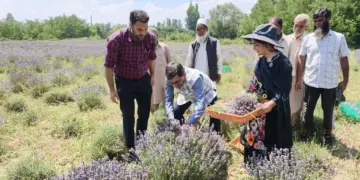 Director IIIM kick-starts season’s lavender harvest at Bonera Farm in Pulwama