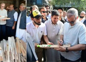 CM assures full support to safeguard Kashmir’s cricket bat industry