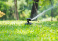 ‘Lawns drain 40% of Srinagar’s drinking water’