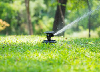 ‘Lawns drain 40% of Srinagar’s drinking water’