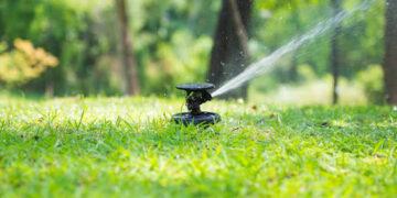 ‘Lawns drain 40% of Srinagar’s drinking water’