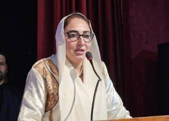 NC’s Jantar Mantar protest won’t restore statehood: Darakhshan Andrabi